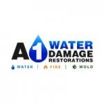 Expert Mold Remediation ThorntonA1 Water Damage Restoration