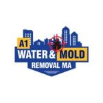 A1 Water  Mold Removal MA