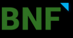 BNF Consulting, Inc.