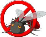 Exterminateur Montreal Max
