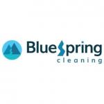 BlueSpring Cleaning