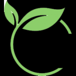 Essential Behavioral Health Fair Oaks 