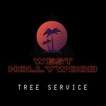West Hollywood Tree Service