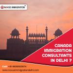 Best Immigration Consultants in Delhi 